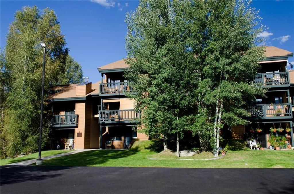 The Pines Condominiums スティームボートスプリングス エクステリア 写真